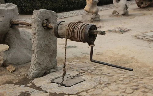 深山的坚守 知青与寡妇的爱情传奇